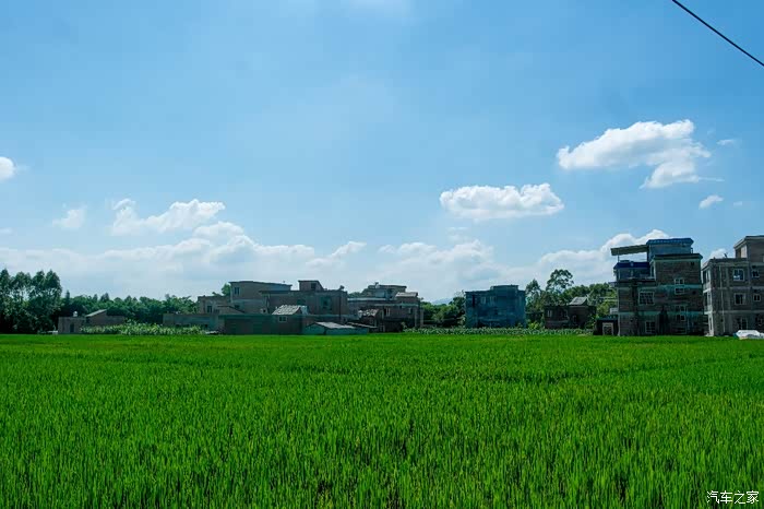 广西乡村游第一站金田