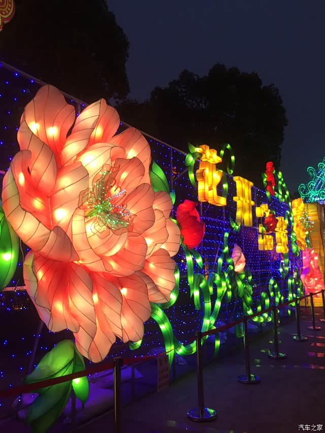 无锡车友会088夜游暨阳湖