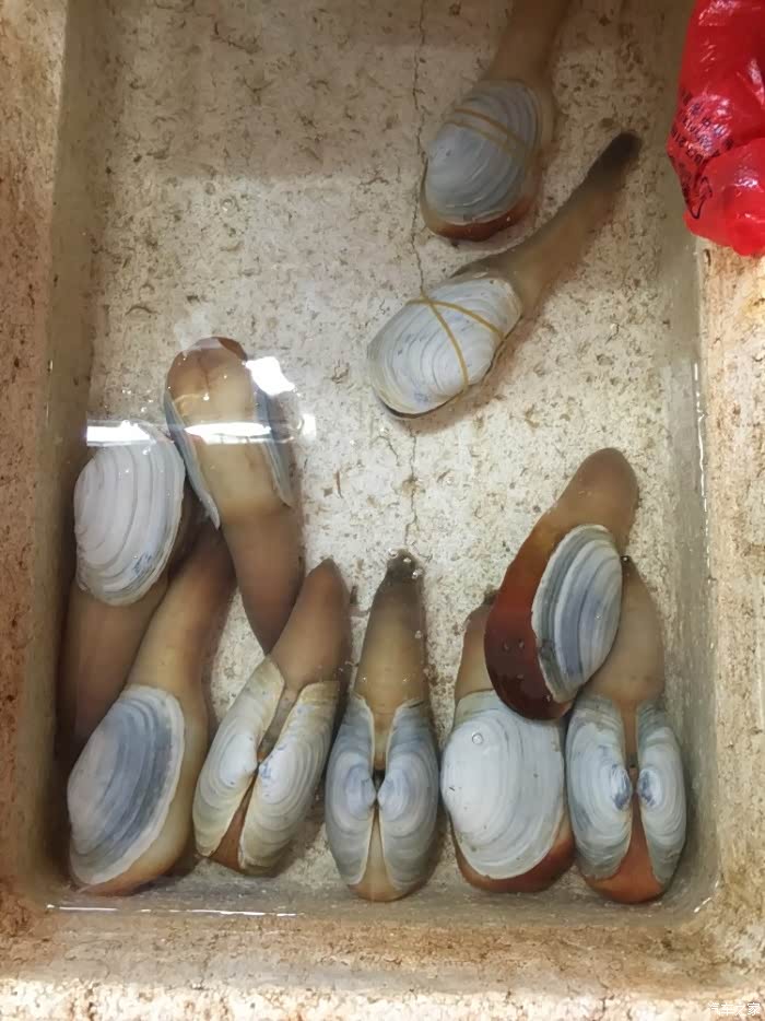 威5大连盟期待在祖国南端的美丽邂逅三亚游记