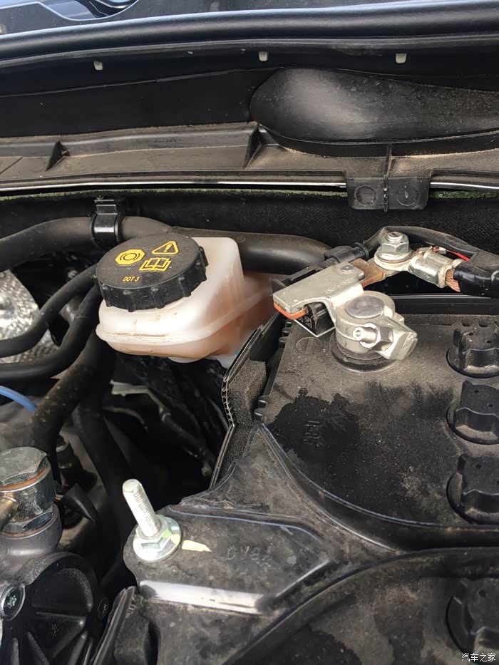 【图】弱弱地问下 这些可是冷却液?_阿特兹论坛_汽车之家论坛