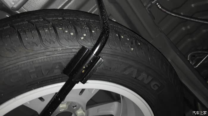 只不过备胎是朝阳的