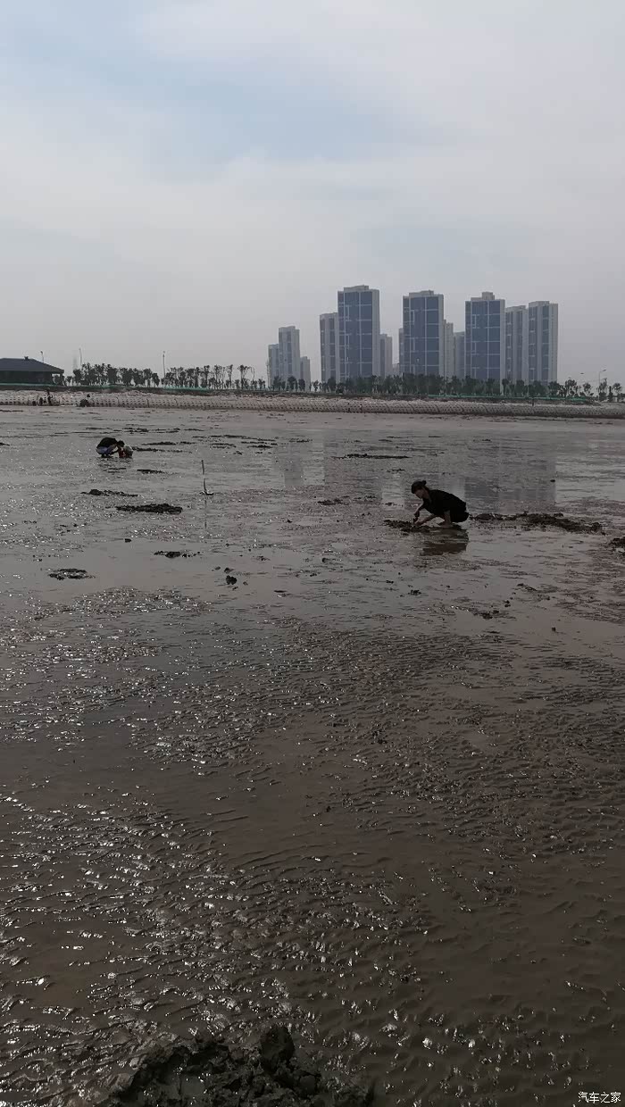 赶海挖蛤蜊抓螃蟹