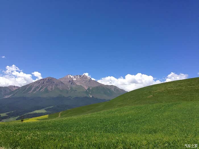 祁连卓山风景秀丽迷人啊