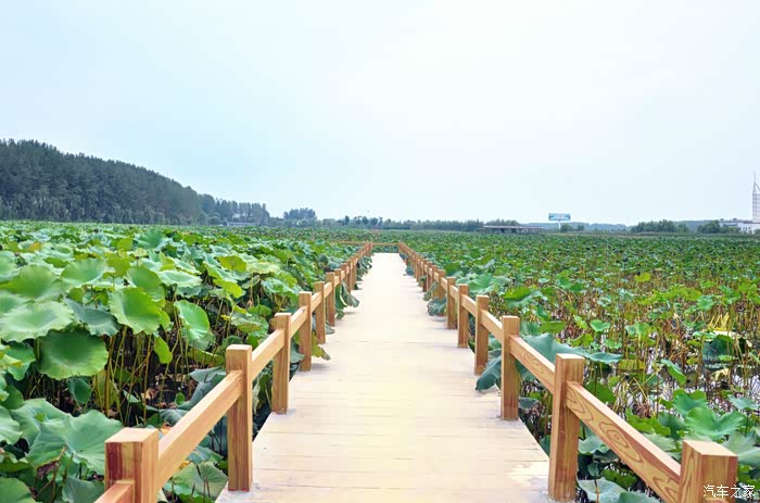 小城印象 滕州-台儿庄古城 自驾游