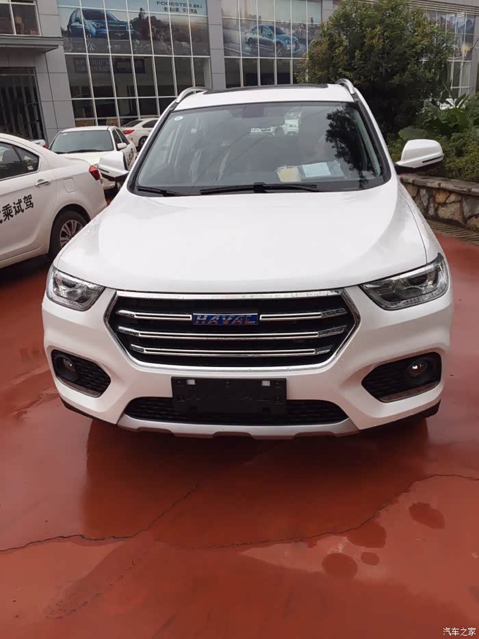 颜色问题?蓝标哈弗h2自尊