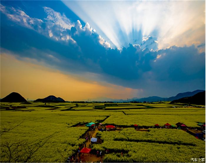 铜梁油菜花图片