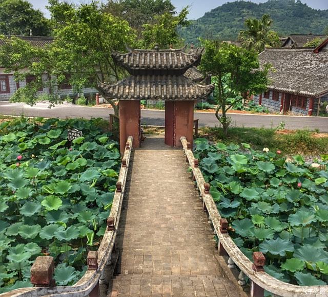 大足荷花山庄图片