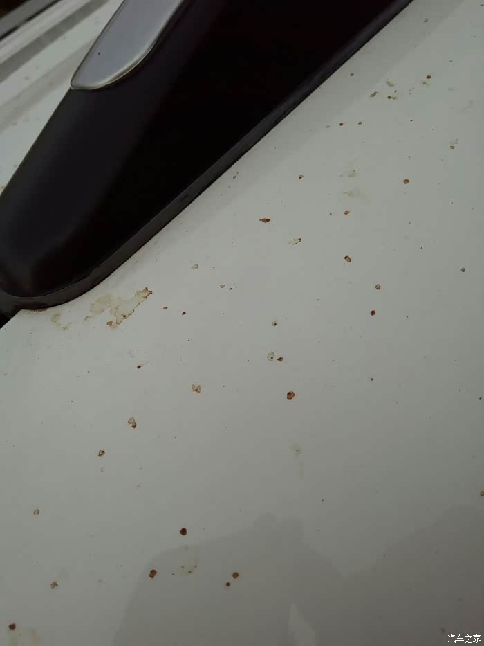 车停放时间久了,漆面上有类似苍蝇屎的东西