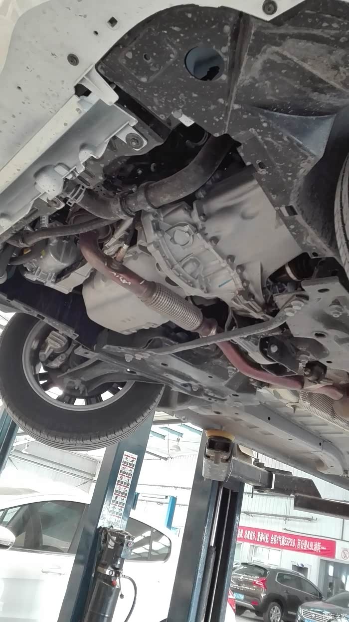 【图】首保归来_标致301论坛_汽车之家论坛