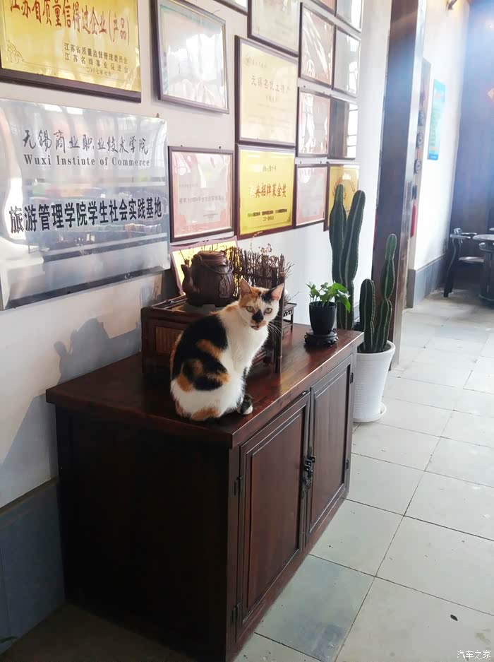 金年会-官方体育与电竞娱乐平台实时赛事直播与竞猜五星酒店最新资讯-快科技--科技改变未来