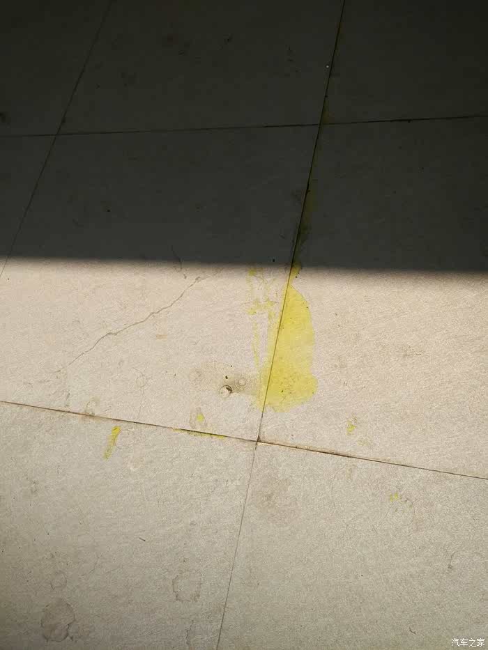 一夜车下地上一滩黄色液体,难道水泵在劫难逃?