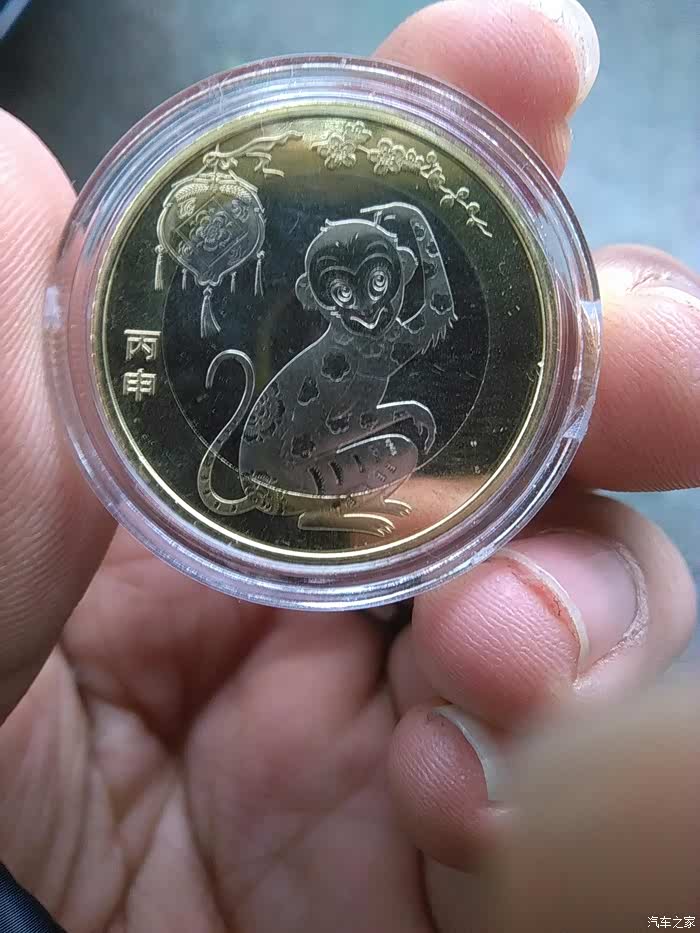 猴子币,猴子币.