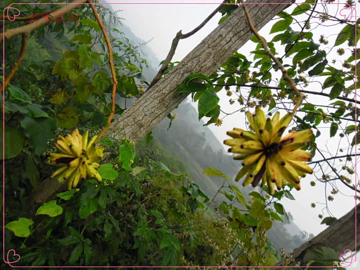 国庆七天乐若木苦并快乐着的国庆暴走记