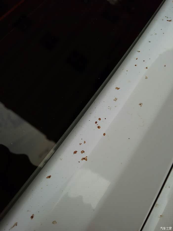 车停放时间久了,漆面上有类似苍蝇屎的东西
