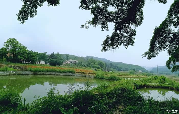 暂离都市的喧嚣,回归田园的宁静