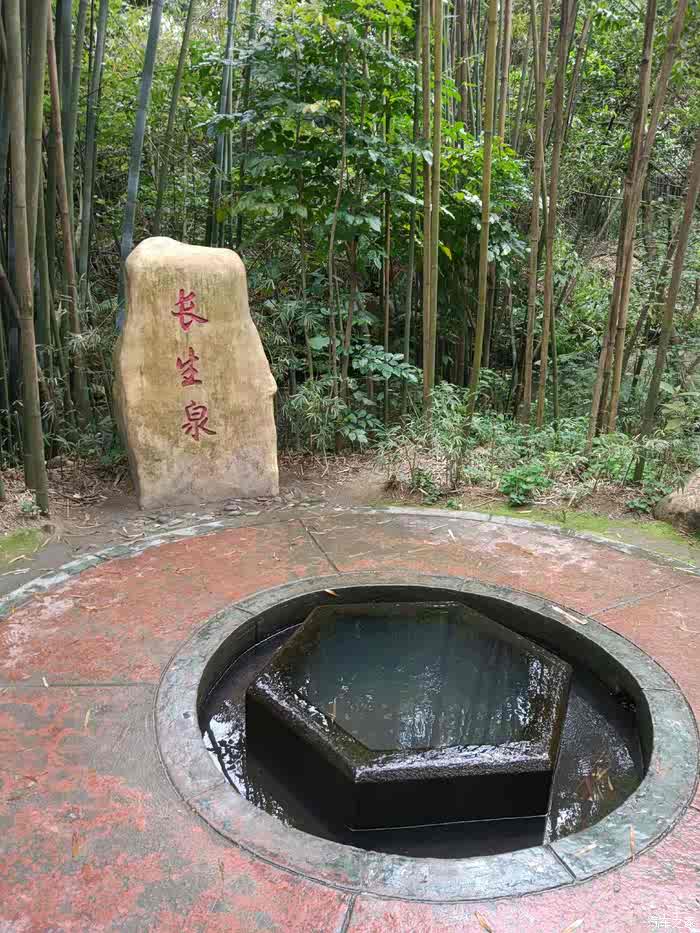 730带着我走走玩玩生活如此美好