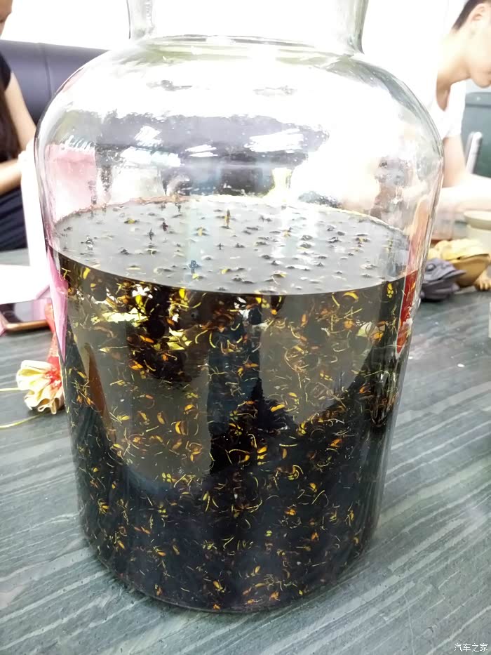 安蜂成年蜂用于泡酒,据说此酒对预防风湿病具有好的功效.