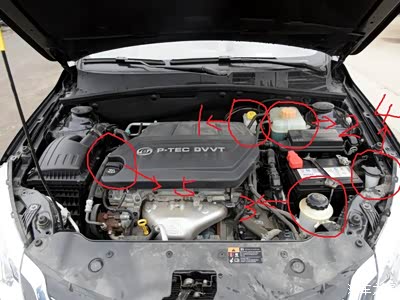 1是刹车油壶 2是防冻液壶 3是助力油壶 4是洗涤剂壶 5是机油加注口