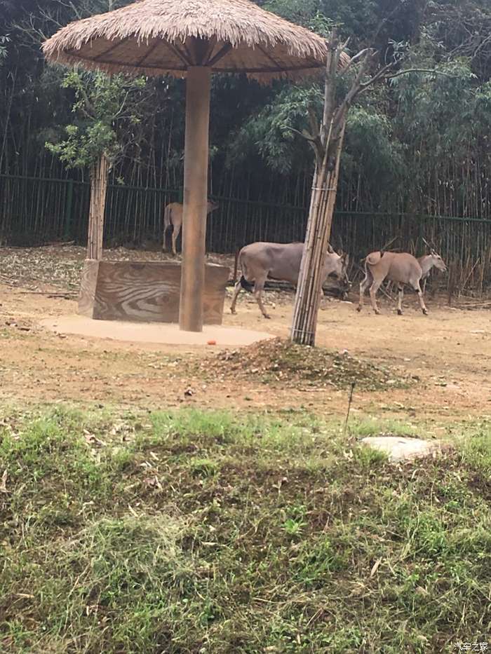 富陽野生動物世界都來看看吧