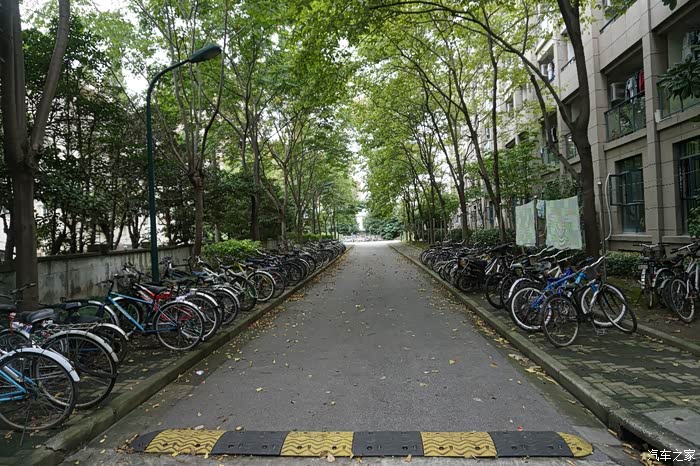 清幽宁静校园绿道