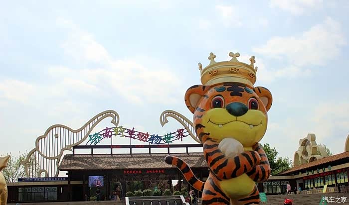 动物都爱大自然—动物园一日游