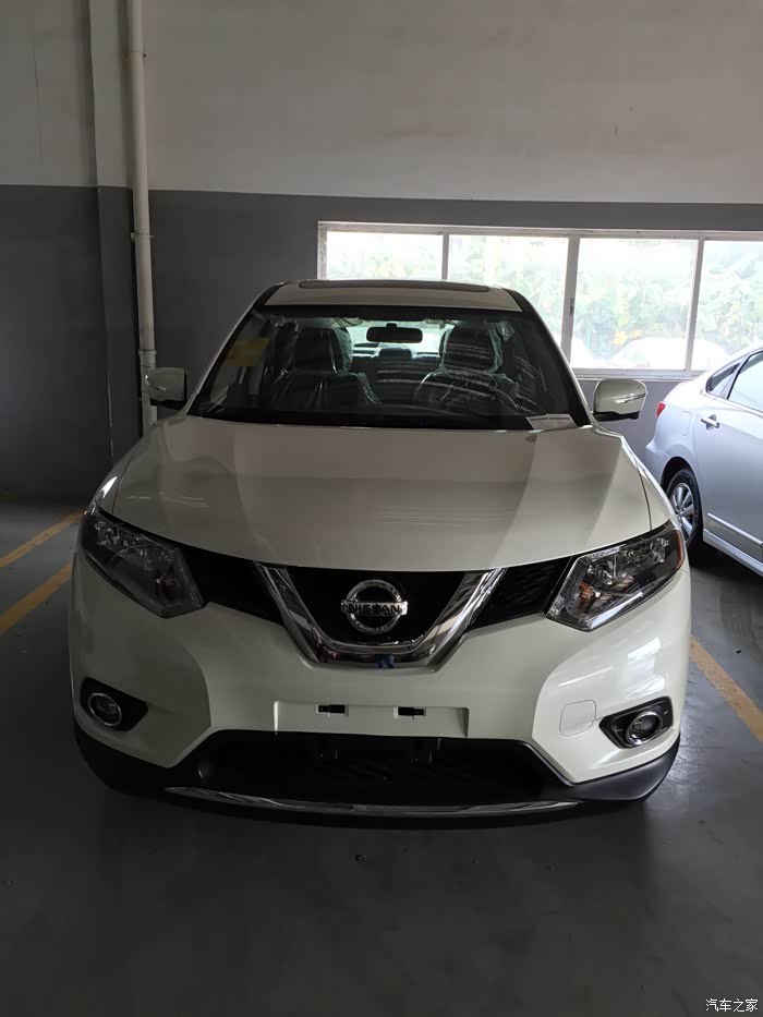 多日等待终提象牙白奇骏!申精求认证