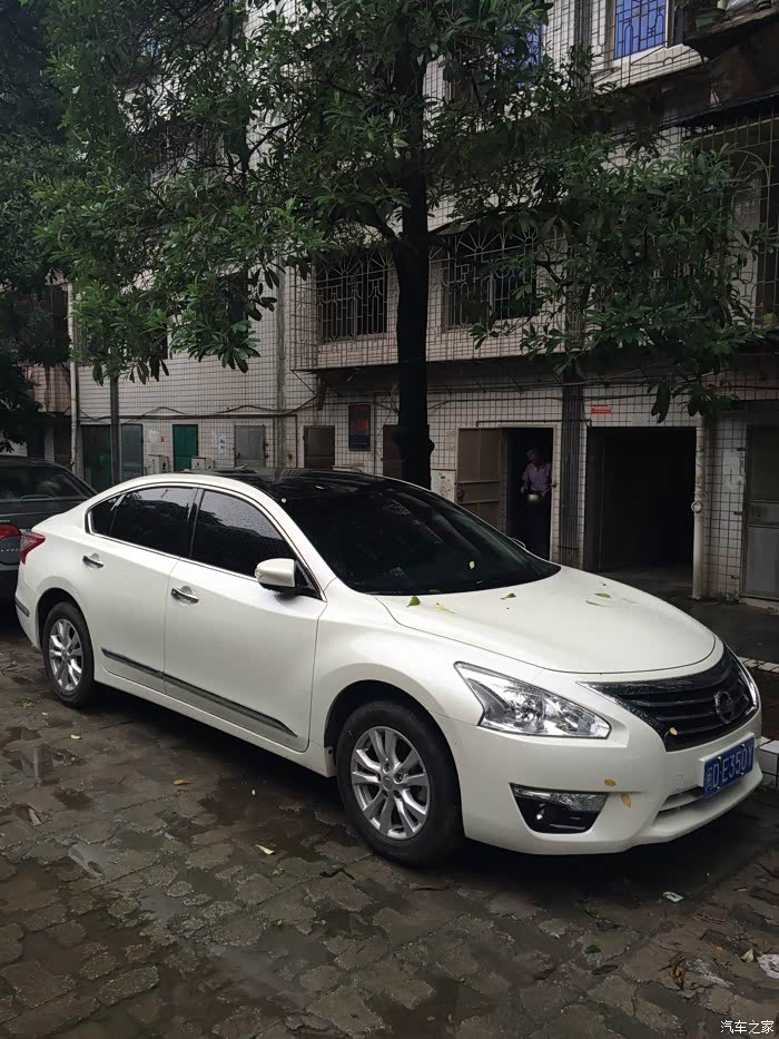 白色天籁,车顶处理