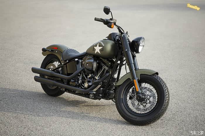 【图】秀车 - 2016款 harley-davidson softail slim s_哈雷摩托车