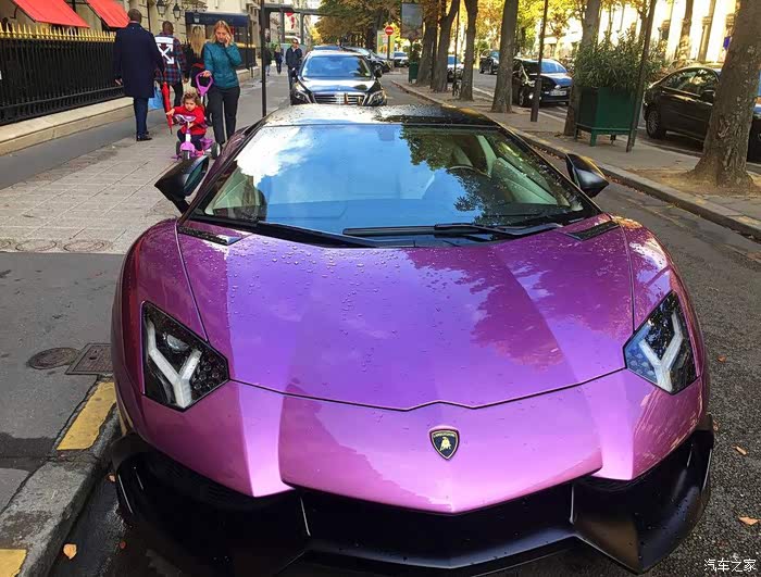 紫色兰博基尼小牛,帅帅的
