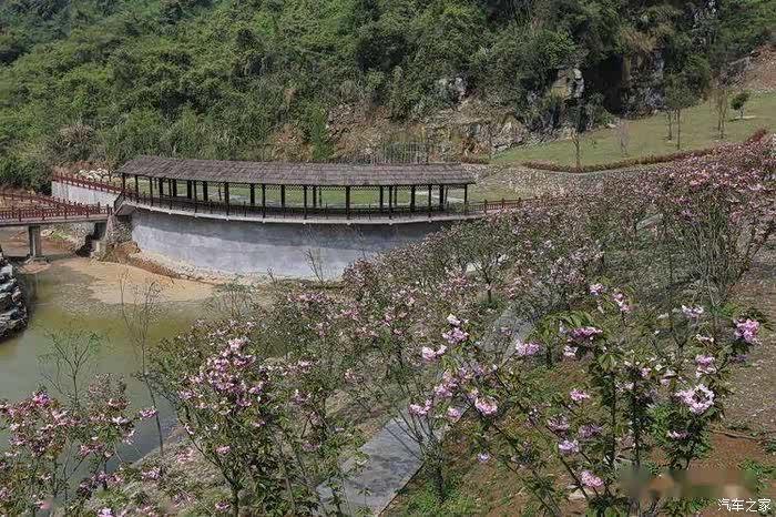 鸣翠谷—原始森林的世外桃源