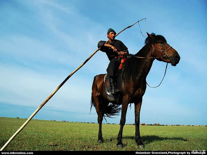 真正的蒙古套马杆汉子