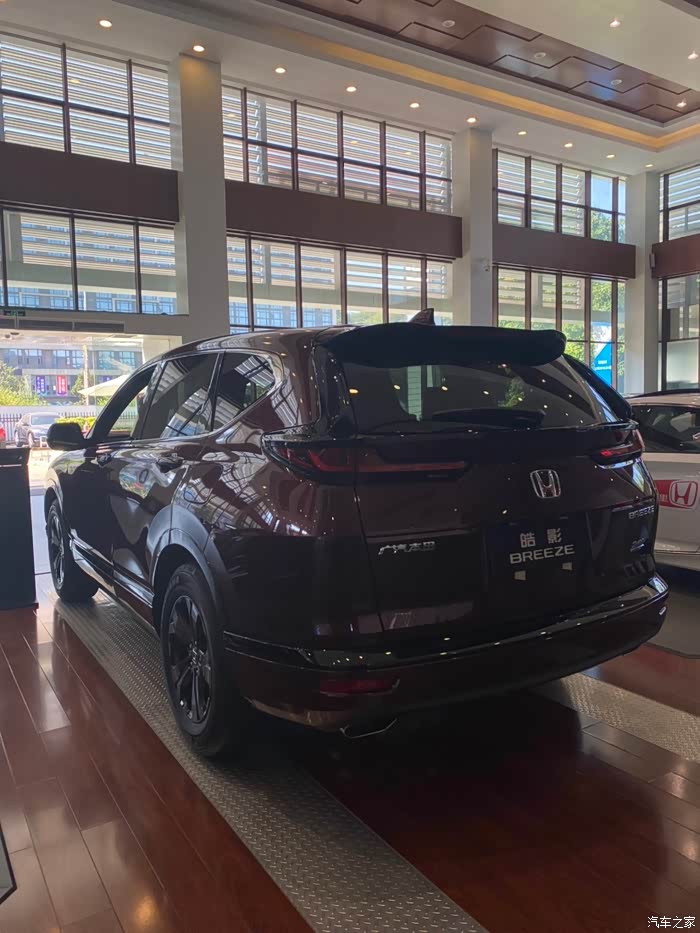 今日份罗曼紫皓影