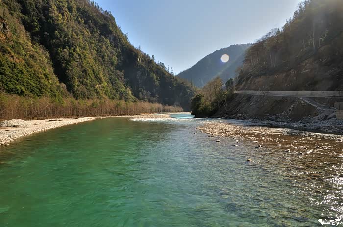 170118_12丛林染绿寒江水