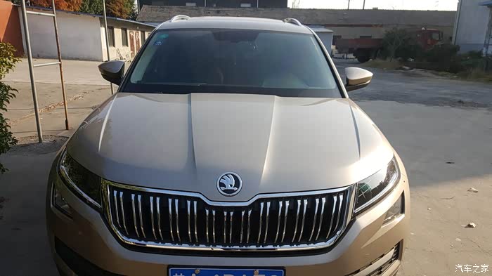 柯迪亚克曙光金颜色好看吗?