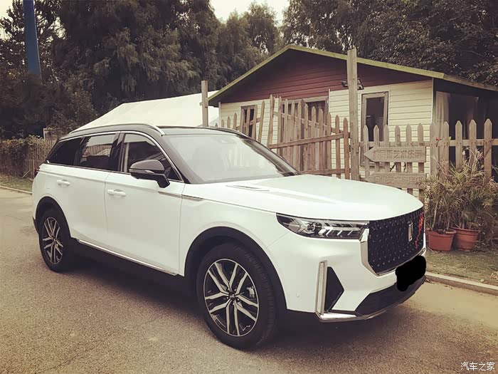 运动版更适合年轻人自驾t99打卡俄罗斯艺术庄园