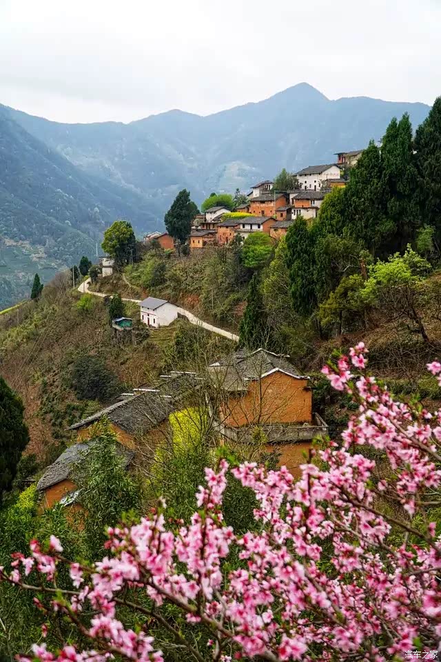 蜘蛛肚的村子古老的土楼比较多很多都已经成为当地的历史建筑