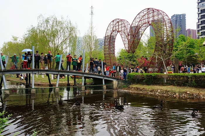 随拍沈阳长白岛公园赏樱花