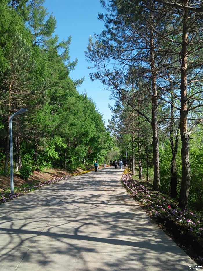 蓝天白云做背景尚志公园一日游