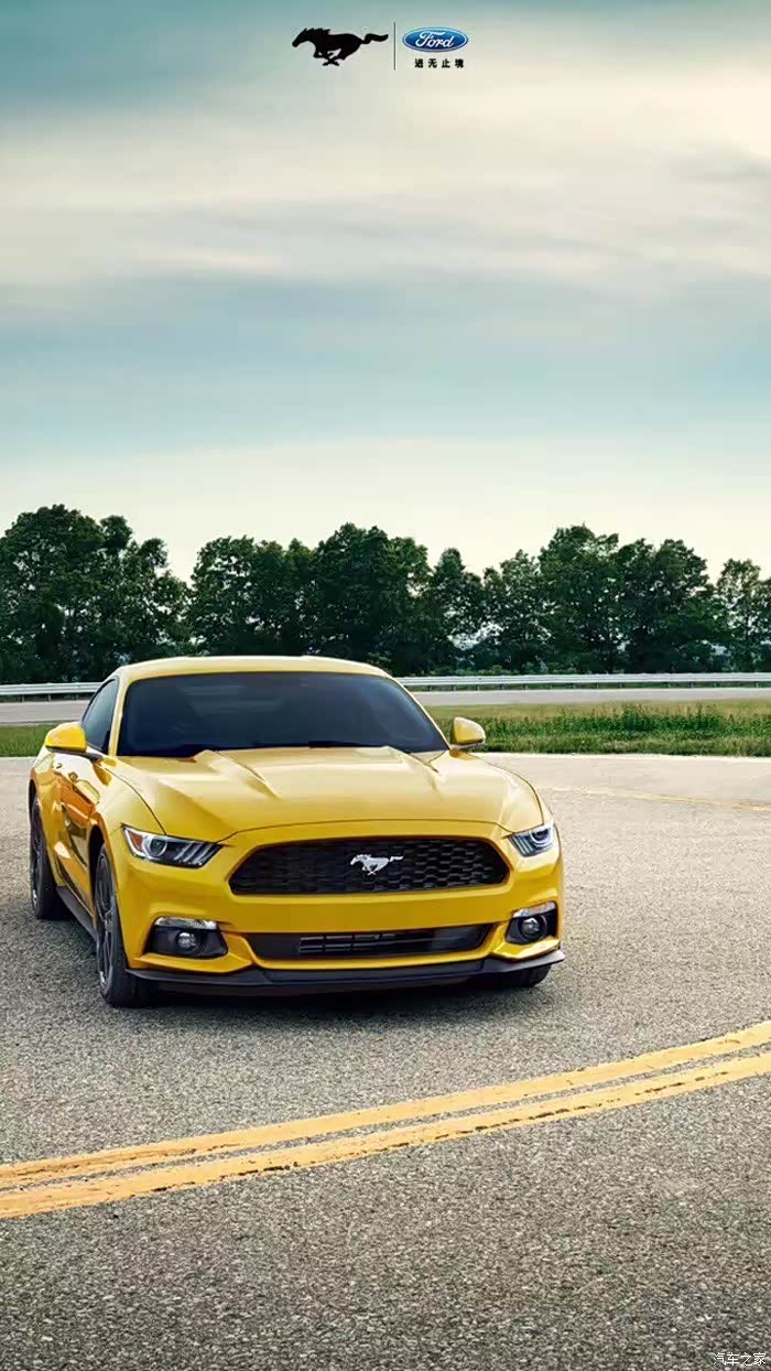 野马现在什么行情