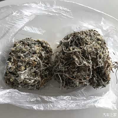 从田里摘回来晒干田艾这个需要加工成为艾绒才做饼