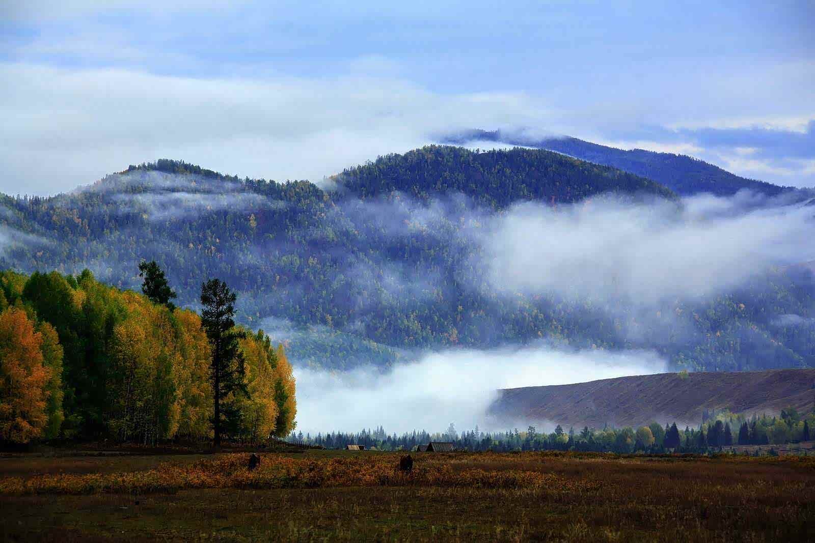 我为你翻山越岭,却无心看风景.