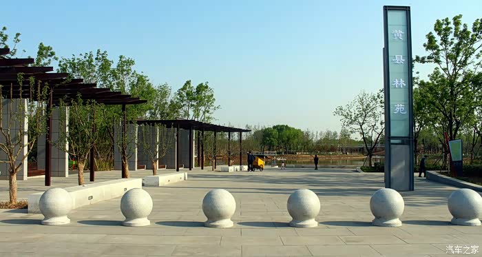 经过一年的努力黄县林苑前后对比