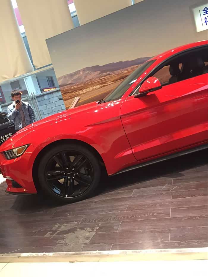 刚订了野马中规传奇红性能版中规价格还可以吗