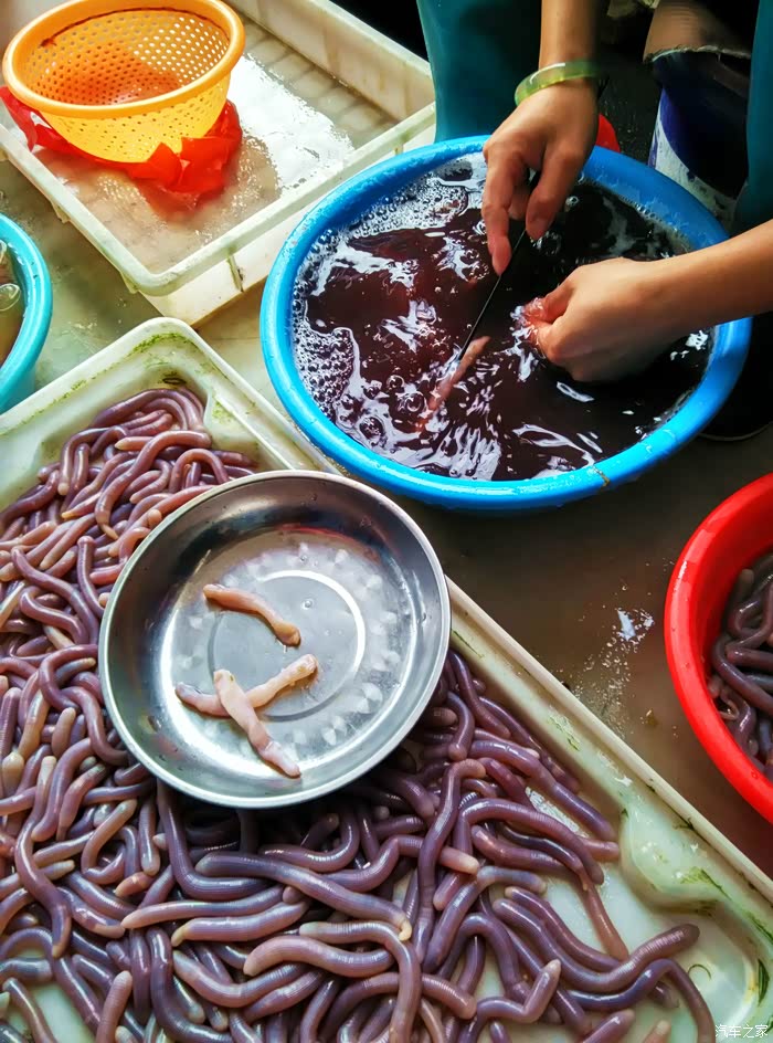 这个则是在洗沙虫了,速度快极了