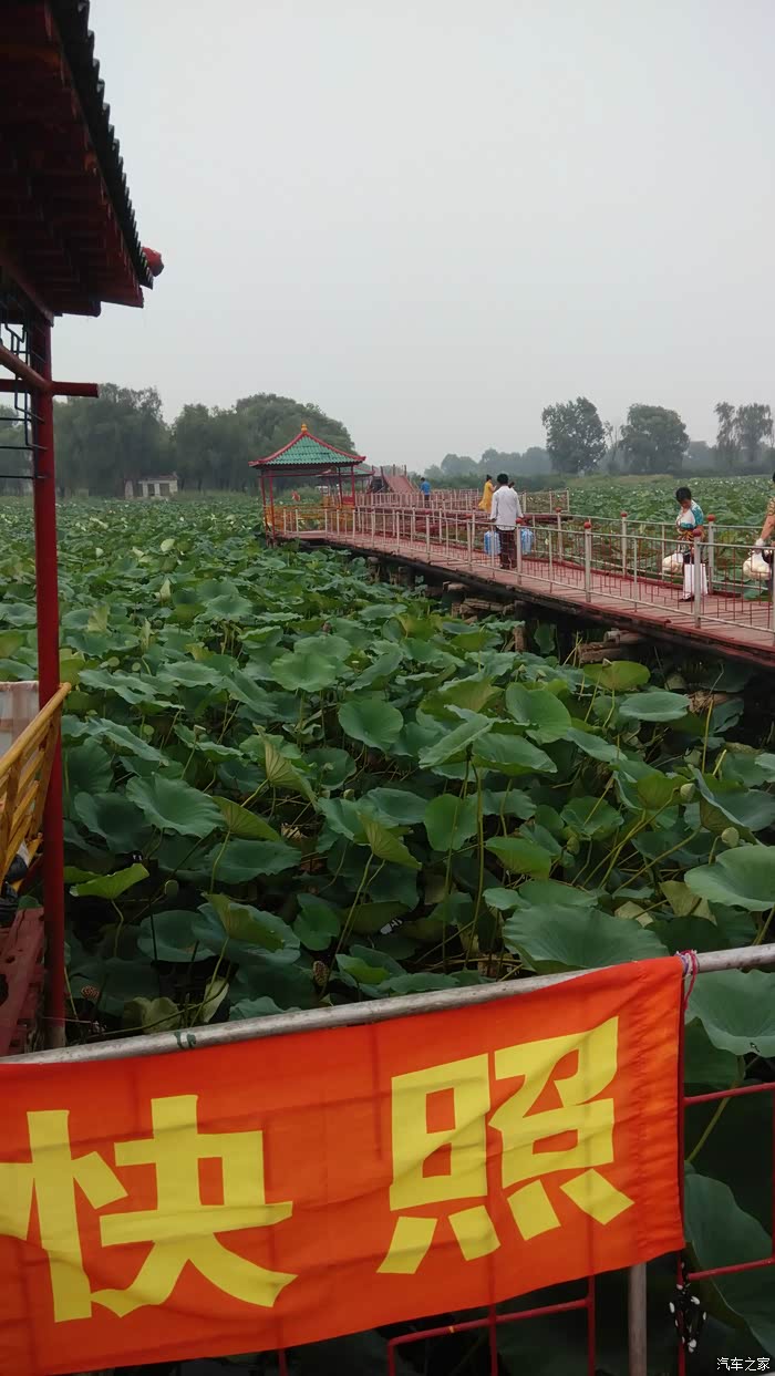 沈阳新民小西湖仙子胡珍珠湖