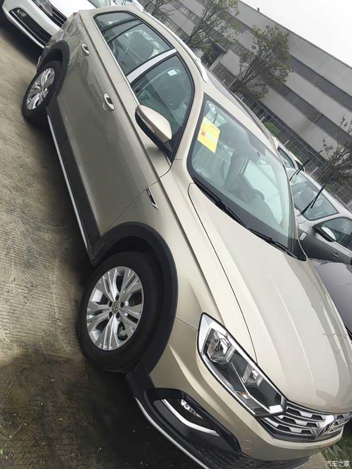 蔚领有金色的吗?