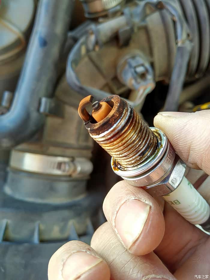 【牧羊】油耗异常,检查火花塞