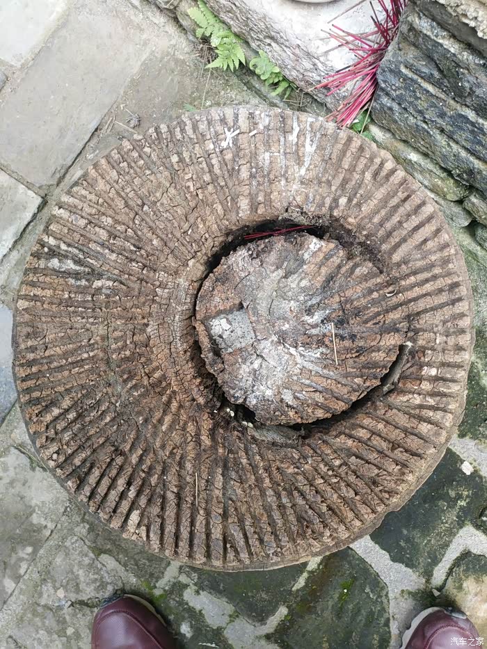 【图】带老豆老娜第一次感受青瓦房,二度进古