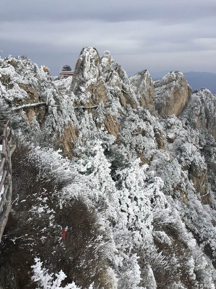 赏老君山雾凇景观