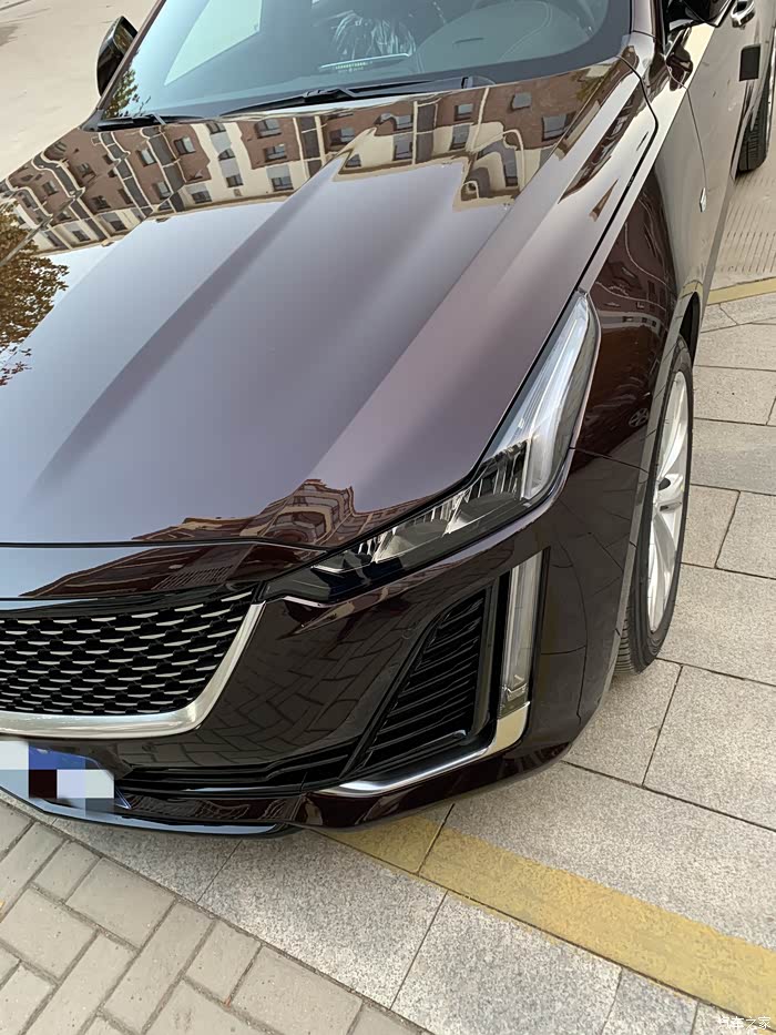 我的豪华珊瑚紫凯迪拉克ct5认证